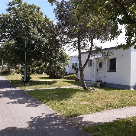 Ferienhaeuschen Kuestenwald Bei Warnemuende, Eigener Garten, Terrasse Mit Strandkorb, 400M Zum Strand Diedrichshagen  Exteriér fotografie