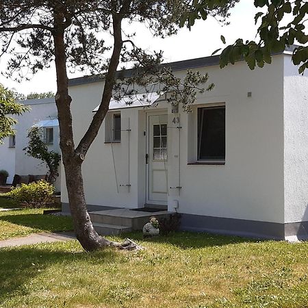 Ferienhaeuschen Kuestenwald Bei Warnemuende, Eigener Garten, Terrasse Mit Strandkorb, 400M Zum Strand Diedrichshagen  Exteriér fotografie