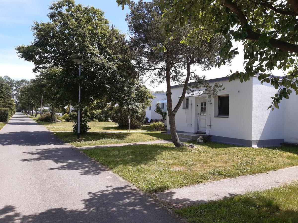Ferienhaeuschen Kuestenwald Bei Warnemuende, Eigener Garten, Terrasse Mit Strandkorb, 400M Zum Strand Diedrichshagen  Exteriér fotografie