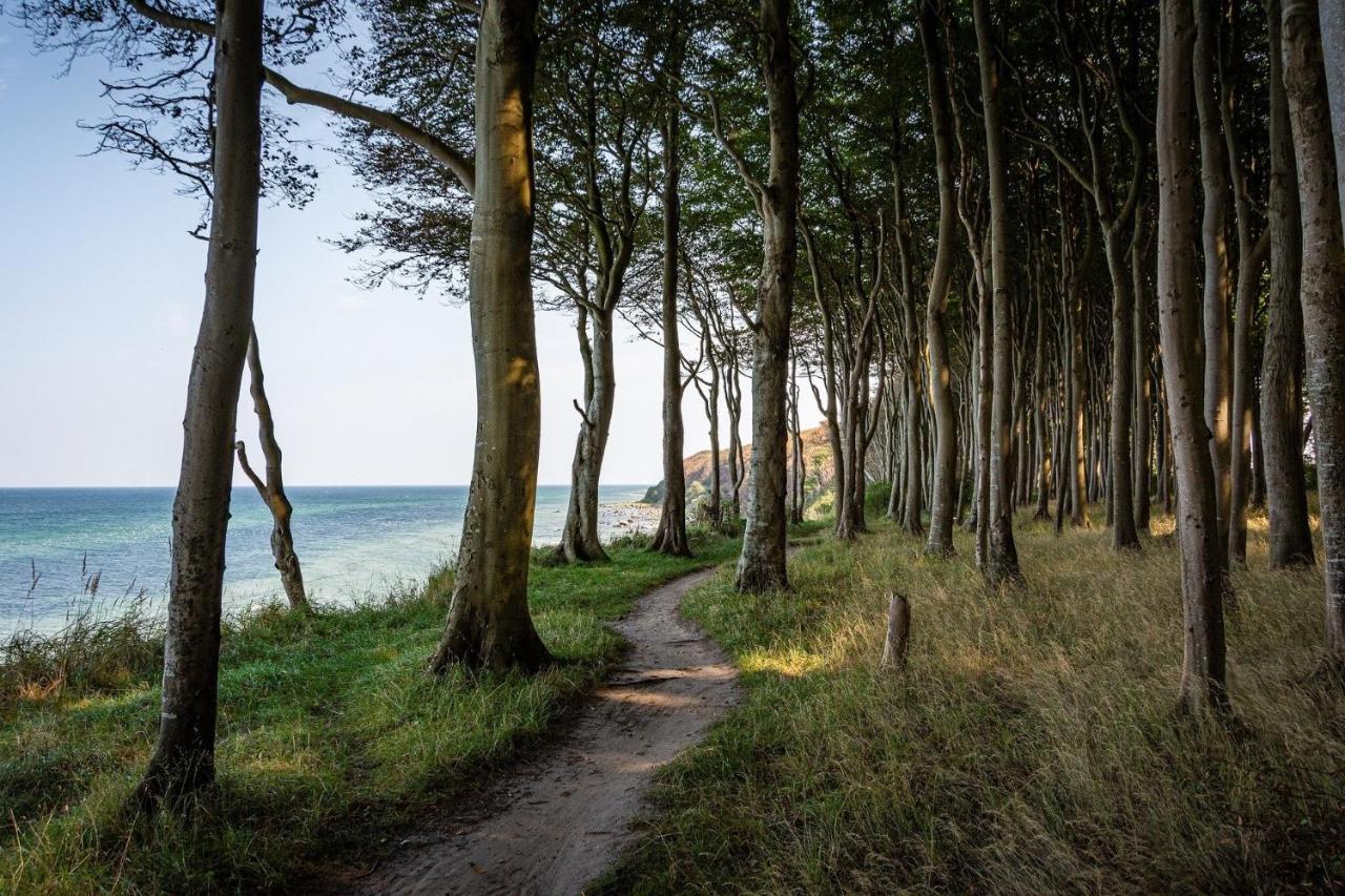 Ferienhaeuschen Kuestenwald Bei Warnemuende, Eigener Garten, Terrasse Mit Strandkorb, 400M Zum Strand Diedrichshagen  Exteriér fotografie